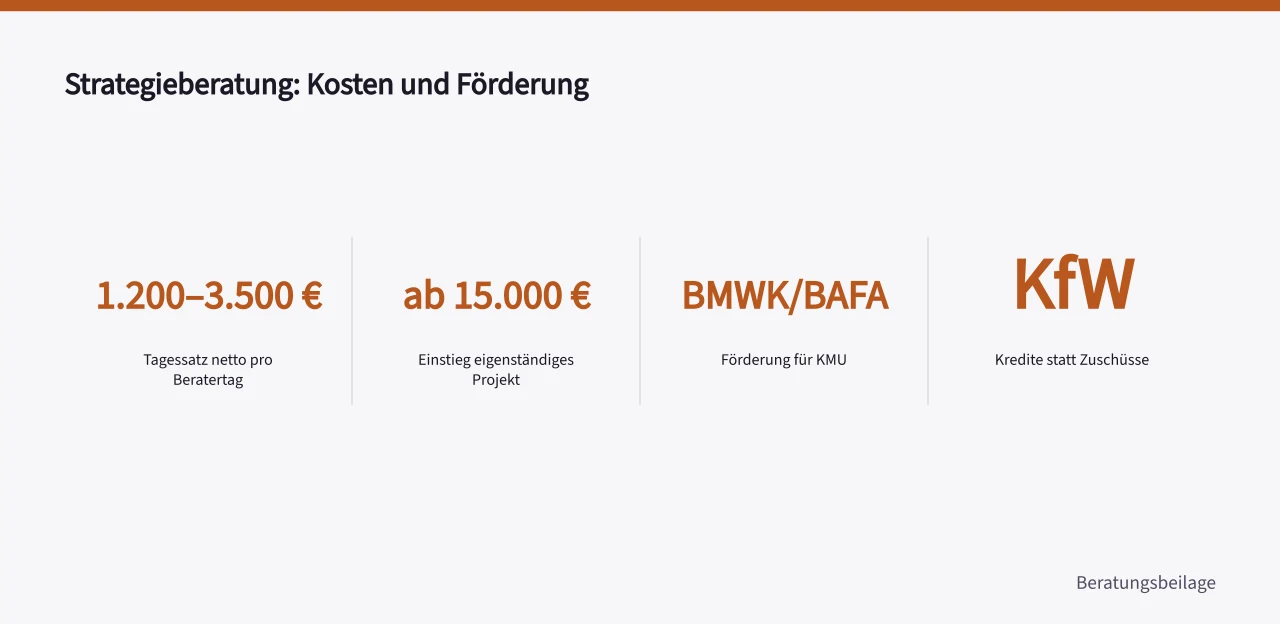 Kennzahlen zu Tagessätzen, Projektmindestbudget und Förderwegen ('Strategieberatung für den Mittelstand: Leistungen, Anbieter und Kosten')
