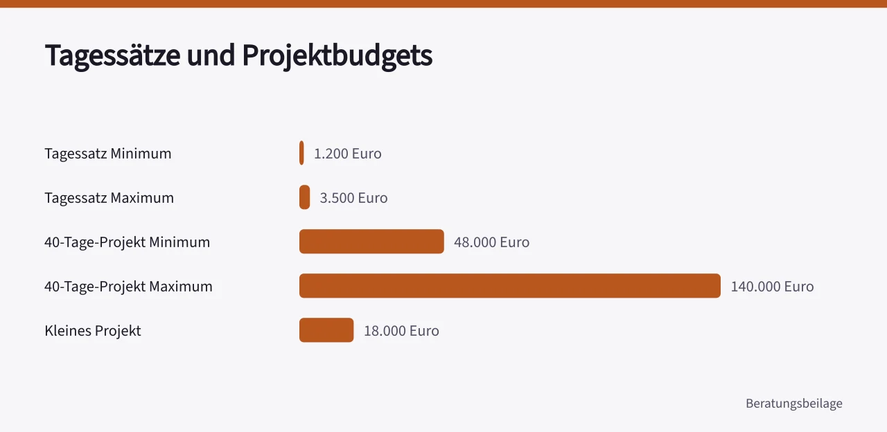 Balkendiagramm mit Tagessätzen und Projektbudgets für Strategieberatung (Strategieberatung Kosten im Vergleich zu internen Projektkosten)