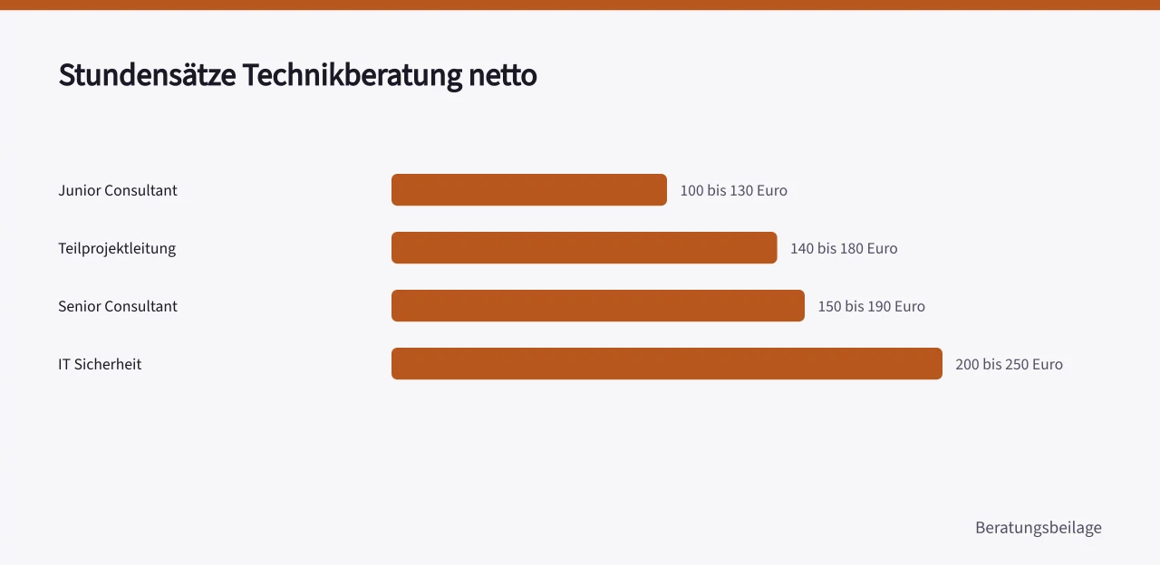 Balkendiagramm mit Stundensätzen von 100 bis 250 Euro netto (Technikberatung Kosten im Vergleich zu internen IT Stundensätzen)